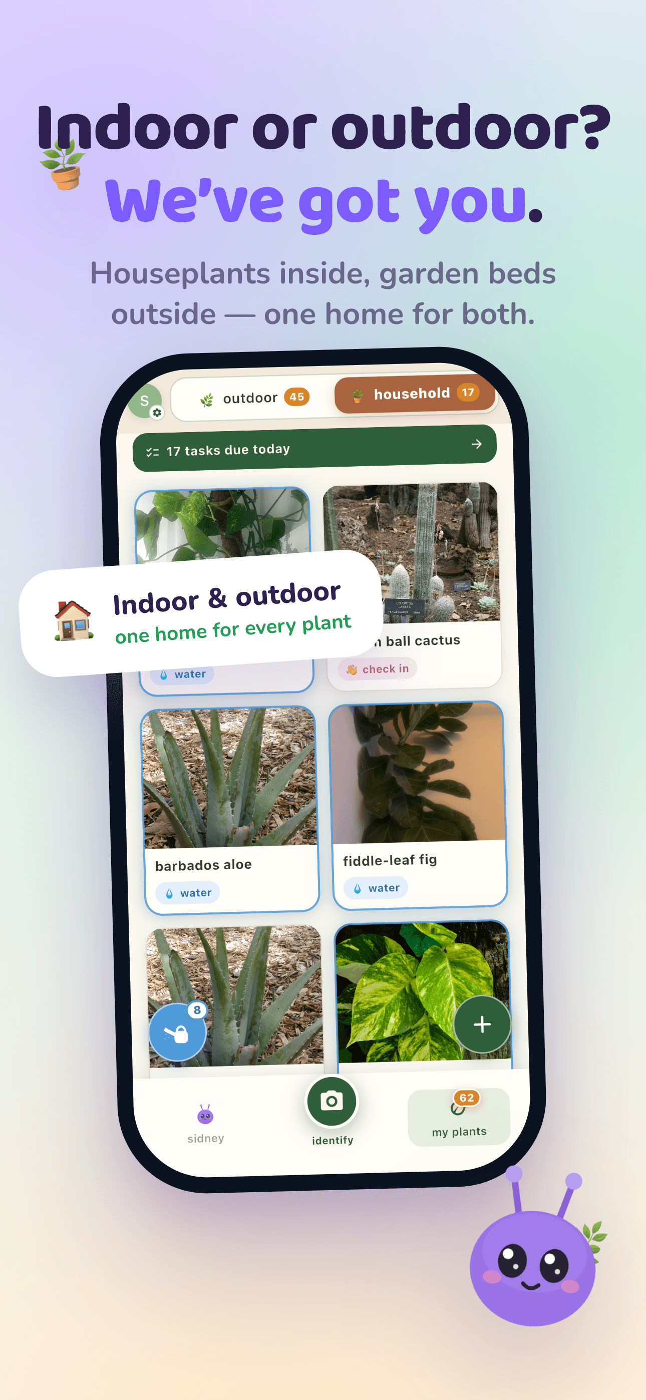 Indoor and outdoor plants, together