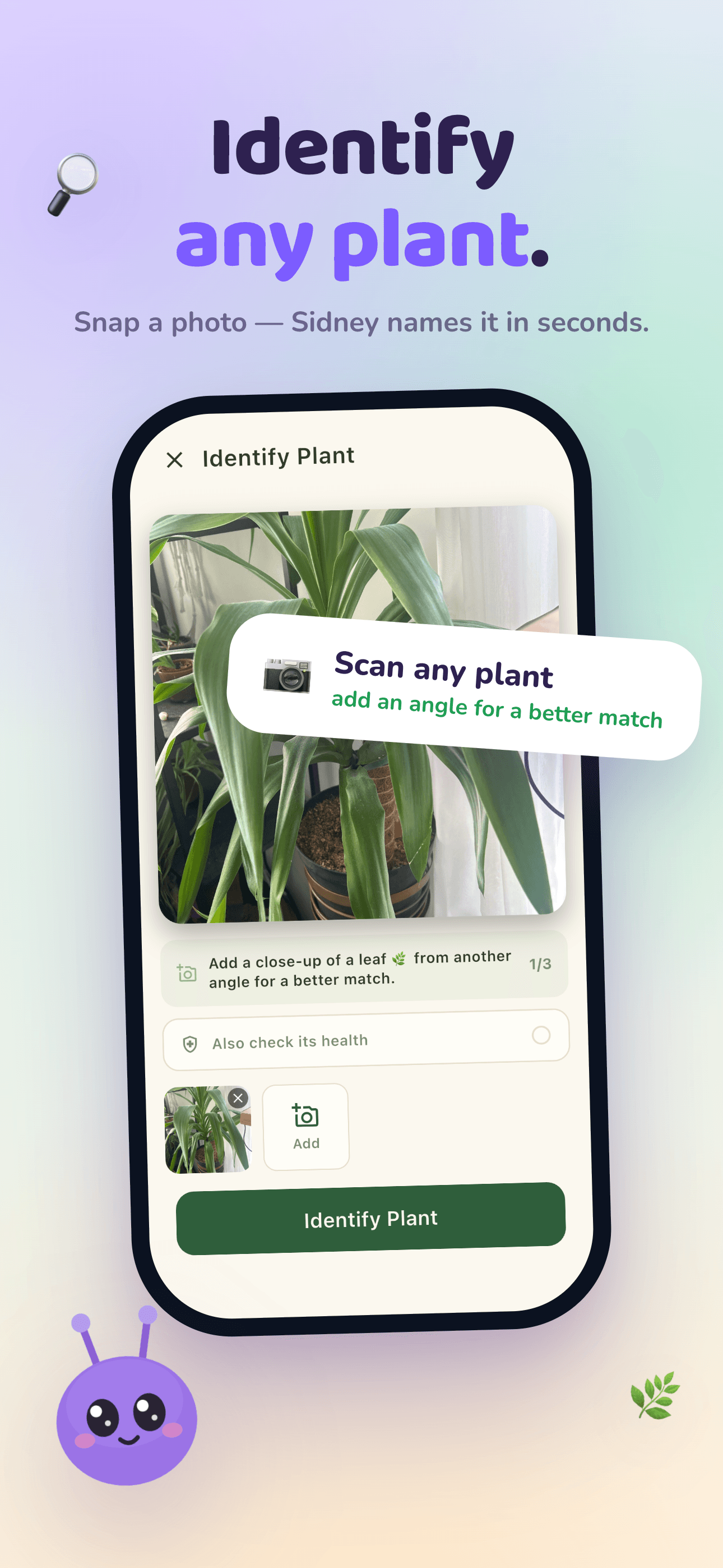 Identifying a plant in Mali from several photo angles, with an optional health check